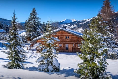 Property building, Day, Natural landscape, Winter, Mountain view