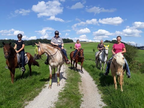 Horse-riding