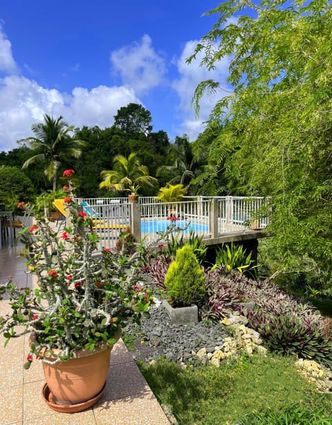 Patio, Natural landscape, Garden, Garden view, Pool view