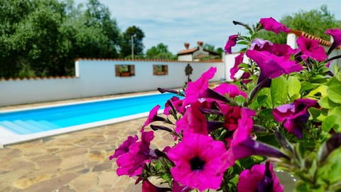 Garden, Swimming pool