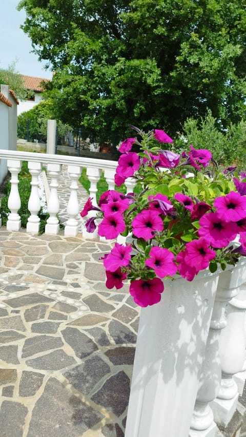 Garden, Garden view