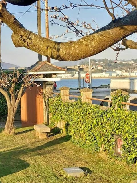 Garden, Sea view