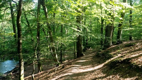 Natural landscape, Hiking