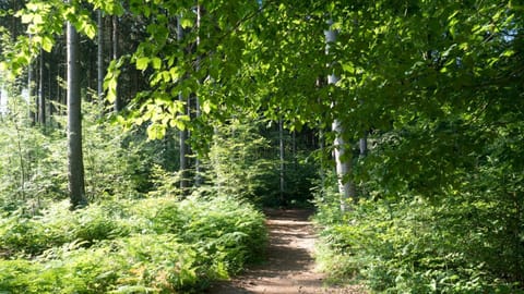 Natural landscape, Garden, Hiking