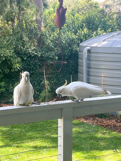 Getaway On Little House in Daylesford