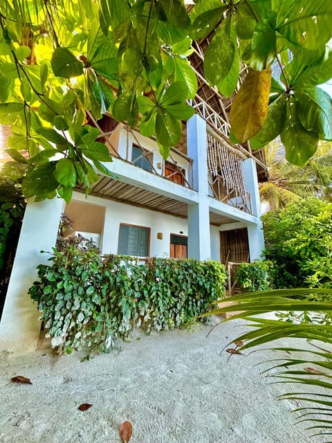 Property building, Day, Garden view