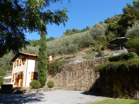 Oliveto Cottage House in Capannori