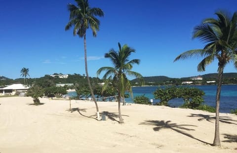 Your Perfect Beachfront Condo in Paradise - Sapphire Beach Apartment in Virgin Islands (U.S.)