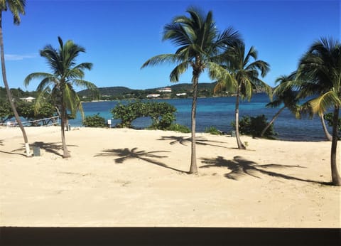 Your Perfect Beachfront Condo in Paradise - Sapphire Beach Apartment in Virgin Islands (U.S.)