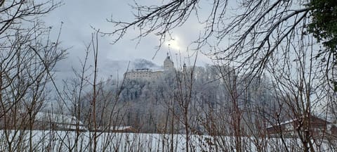Natural landscape, Winter