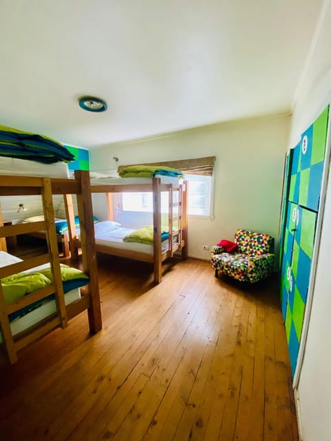 Bed, Photo of the whole room, Bedroom, bunk bed