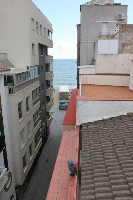 Balcony/Terrace, Sea view, Street view