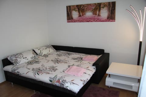 Bed, Living room, Photo of the whole room