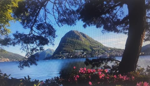 Nearby landmark, Natural landscape