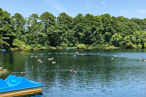 Assateague Point Vacation House in Worcester County