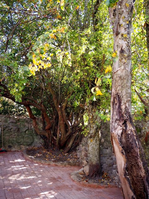 La Casa de los Abuelos Valentín Apartment in Sierra Norte