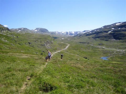 Seim Camping - Røldal Nature lodge in Rogaland