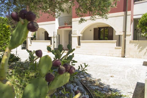 Patio, Facade/entrance