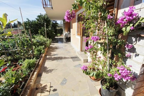 Apartments Marija Savudrija Bed and Breakfast in Istria County
