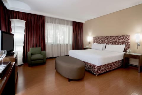 NH Mendoza Cordillera Hotel in Mendoza
