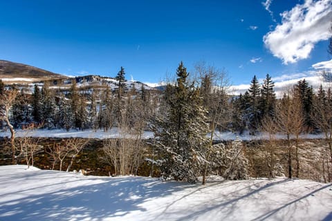 Blue River Condo Unit 203 Apartment in Silverthorne