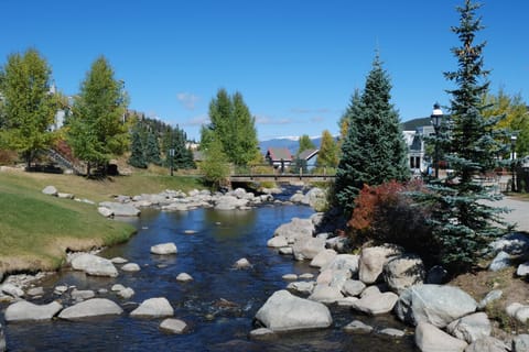 Simple Leafs House in Blue River