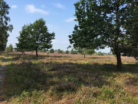 Natural landscape, Hiking