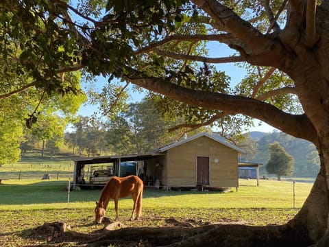 Stay at the Barn... Immerse yourself in nature. House in Kenilworth