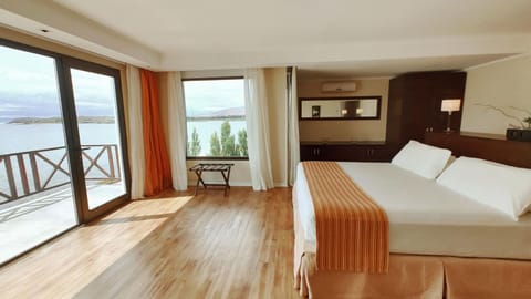 Natural landscape, Photo of the whole room, Bedroom, Lake view