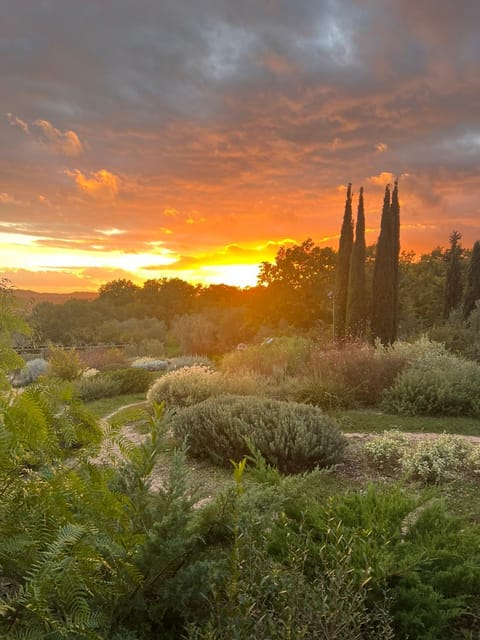 Day, Natural landscape, Sunset