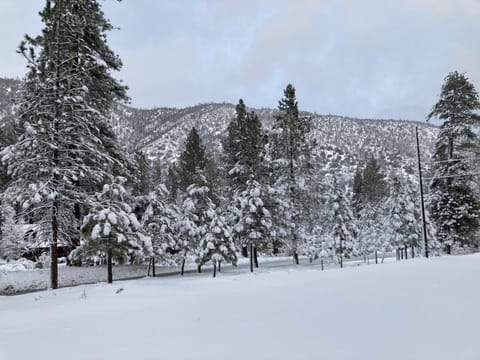 Property building, Natural landscape, Winter