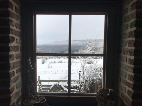 Winter, View (from property/room), kitchen