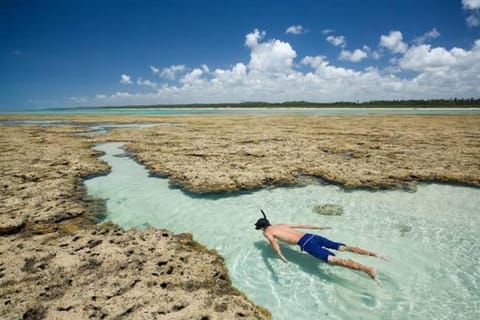 Natural landscape, Swimming pool