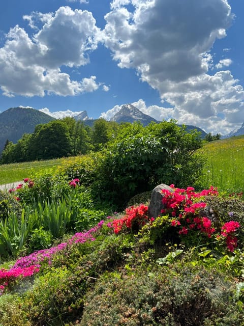 Garden, Garden view