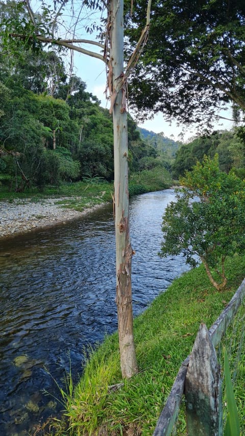 Day, Natural landscape, River view