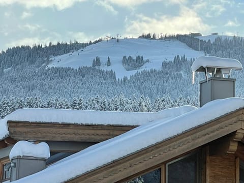 Day, Natural landscape, Winter, Skiing, View (from property/room), View (from property/room), Mountain view