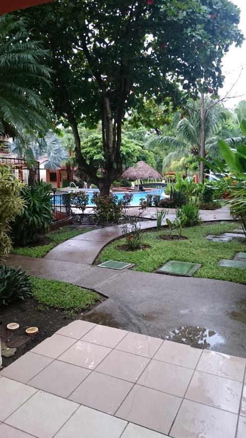 Garden, Other, Garden view, Swimming pool