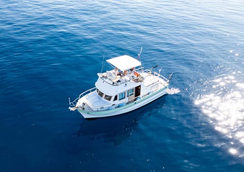 Monte-Carlo for boat lovers Docked boat in Monaco
