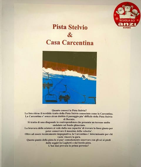 CASA CARCENTINA - fronte seggiovia, sulla pista Stelvio Apartment in Canton of Grisons