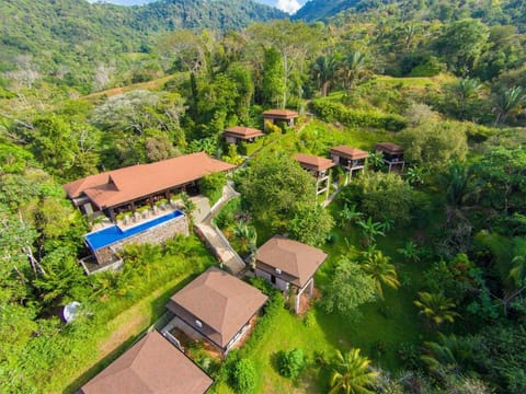 Property building, Bird's eye view, View (from property/room), Garden view