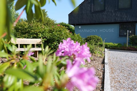 Property building, Garden, Garden view