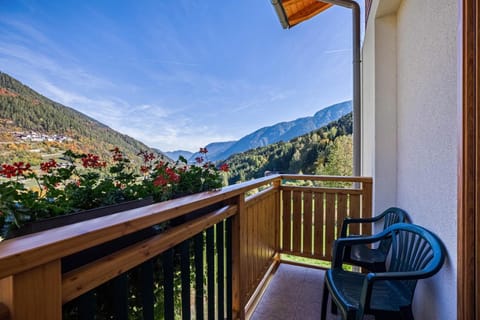 Casa Penasa Appartamento 1 Apartment in Trentino-South Tyrol