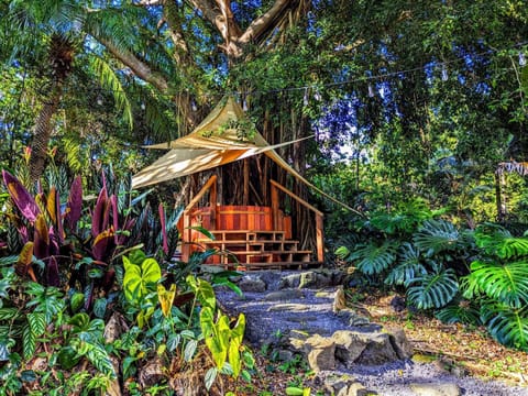 Garden, Hot Tub