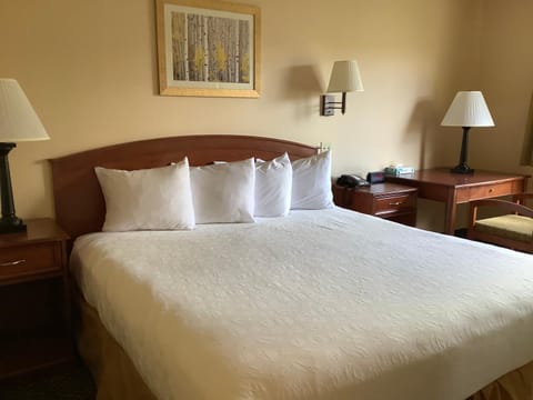 Luxury Inn & Suites Hotel in Silverthorne