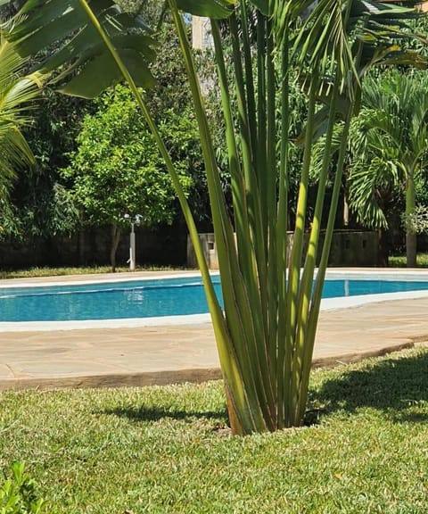 The Swimming Ostrich House in Diani Beach