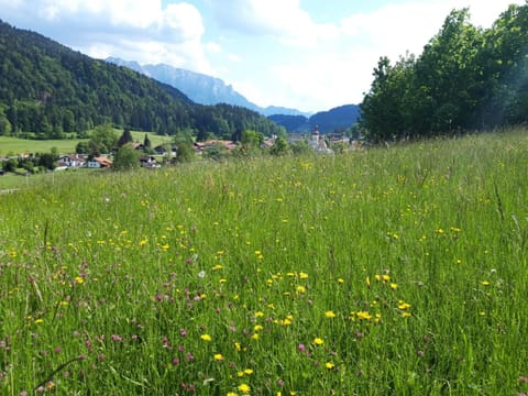 Ferienwohnung Murmeltier Apartment in Aschau im Chiemgau