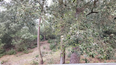 Natural landscape, Hiking, Landmark view