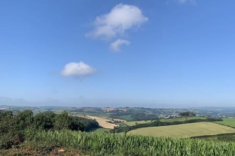 The Cabin at Barnstormers, luxury woodland setting Cabin in Paignton