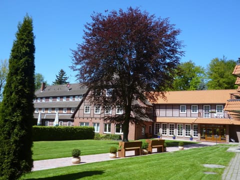 Property building, Day, Garden