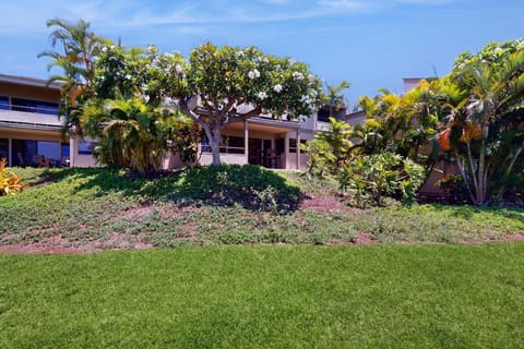 Wailea Ekolu Village Apartment in Wailea